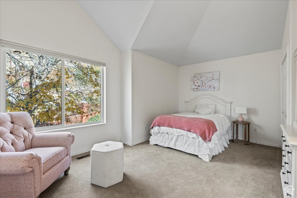 Carpeted bedroom with vaulted ceiling