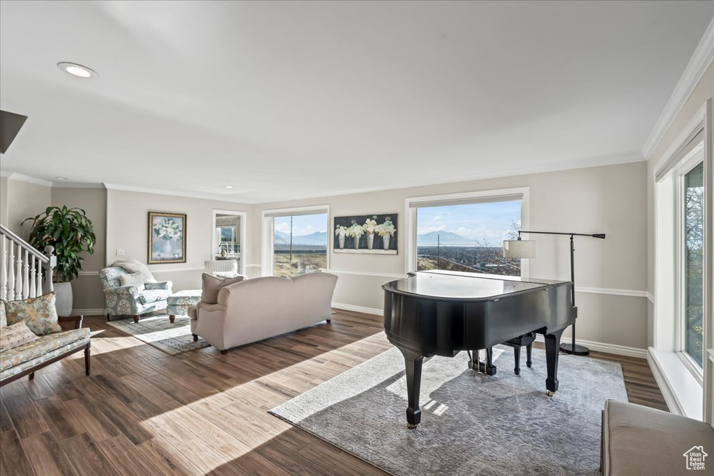 Interior space featuring dark hardwood / wood-style flooring, plenty of natural light, and ornamental molding