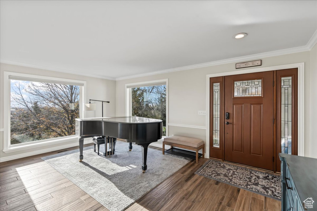 Entrance foyer featuring plenty of natural light, ornamental molding, and hardwood / wood-style flooring