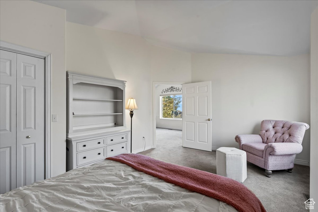 Carpeted bedroom with high vaulted ceiling and a closet