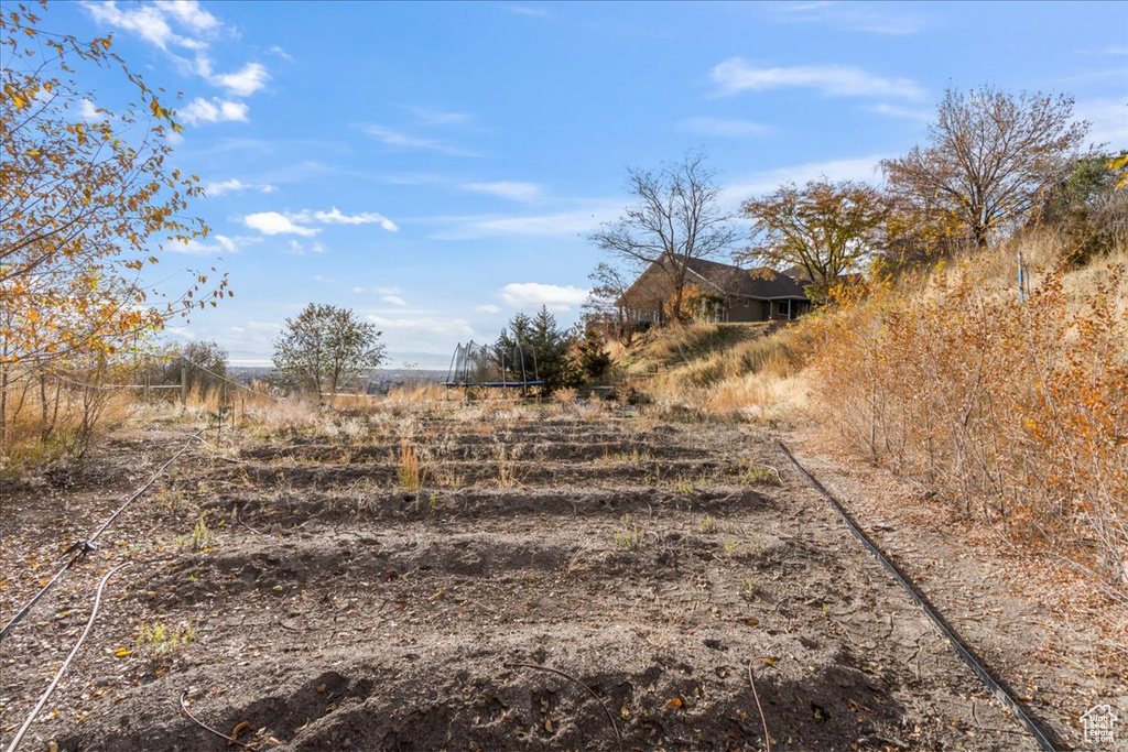 View of yard with a rural view