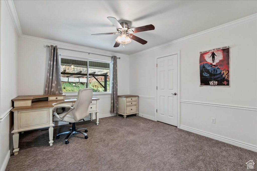 Home office featuring ceiling fan, carpet, and ornamental molding