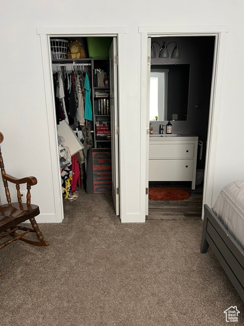 Carpeted bedroom featuring sink and a closet
