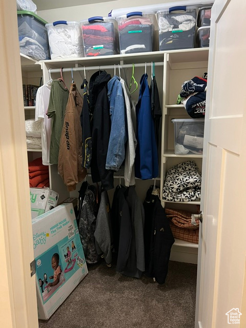 Spacious closet with carpet flooring