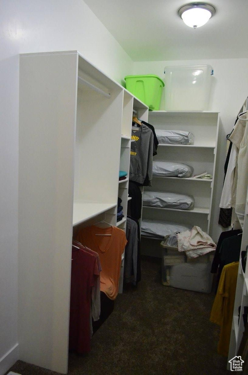 Spacious closet featuring dark colored carpet