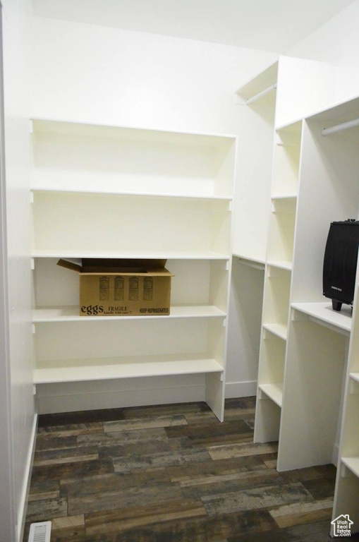 Spacious closet featuring dark wood-type flooring