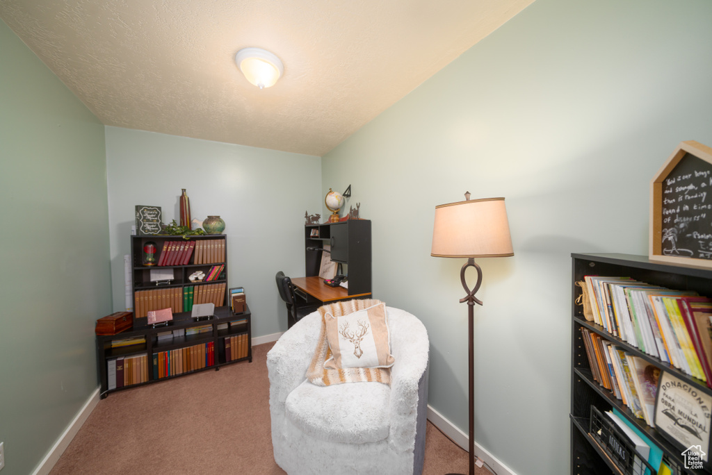 Sitting room featuring carpet