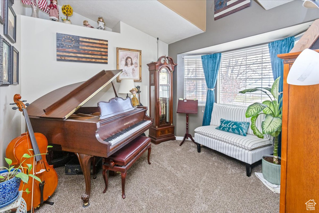 Misc room featuring carpet and lofted ceiling