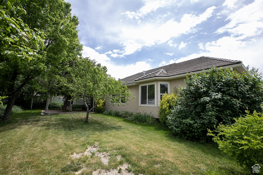 View of grassy yard