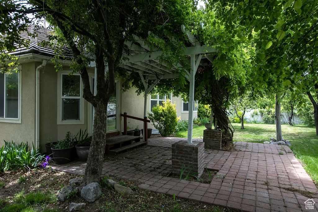 View of patio