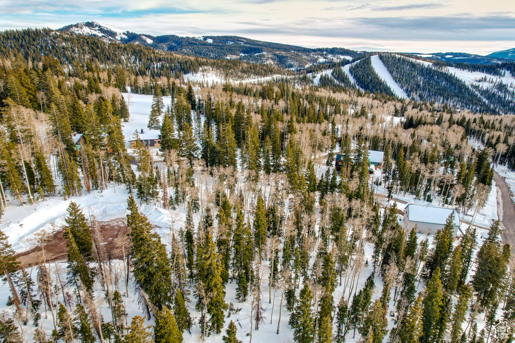 Snowy aerial view with a mountain view