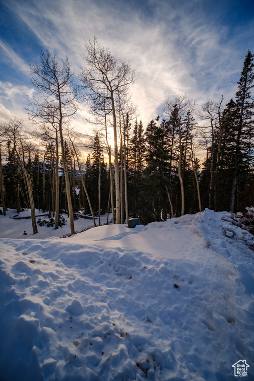View of yard layered in snow