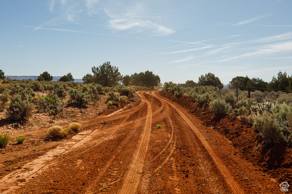 View of dirt / gravel road with a view of rural / pastoral area
