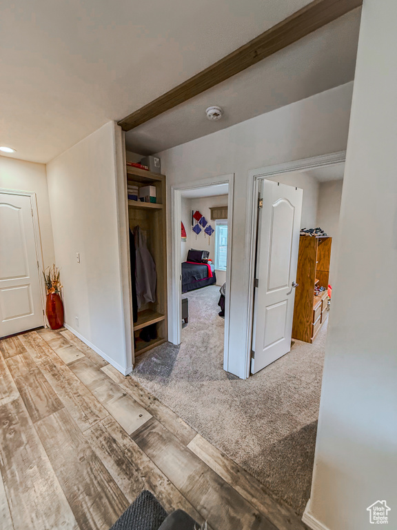 Hall featuring light carpet