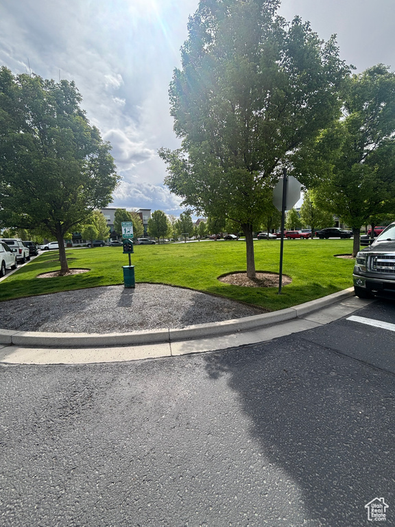 View of home\'s community featuring a yard
