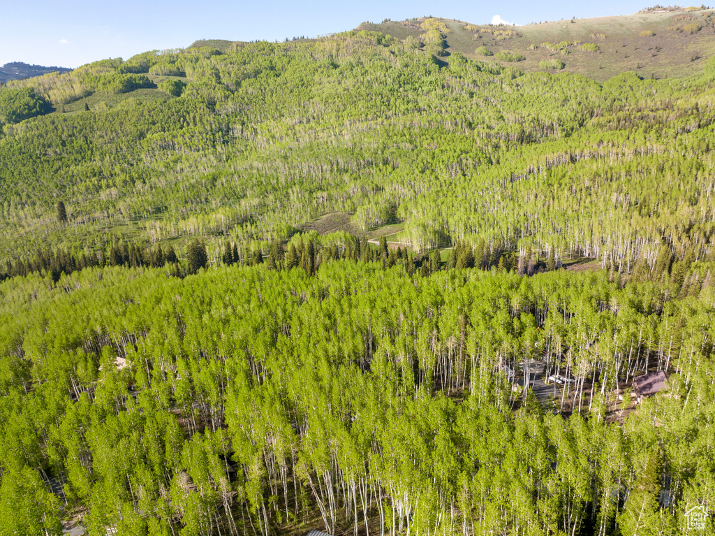 Drone / aerial view with a mountain view