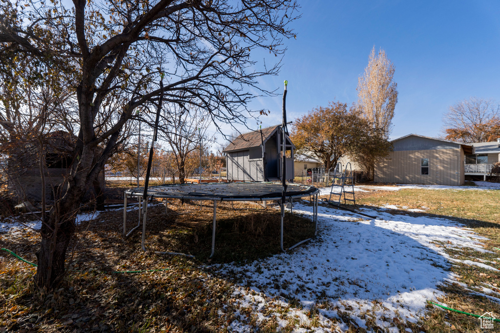 Exterior space with a storage shed and a trampoline