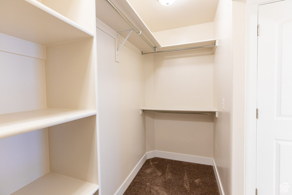 Spacious closet with carpet flooring