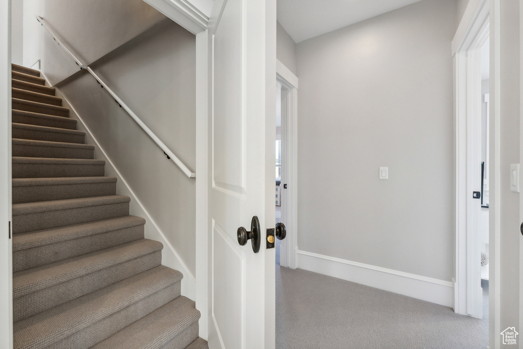 Staircase featuring carpet flooring