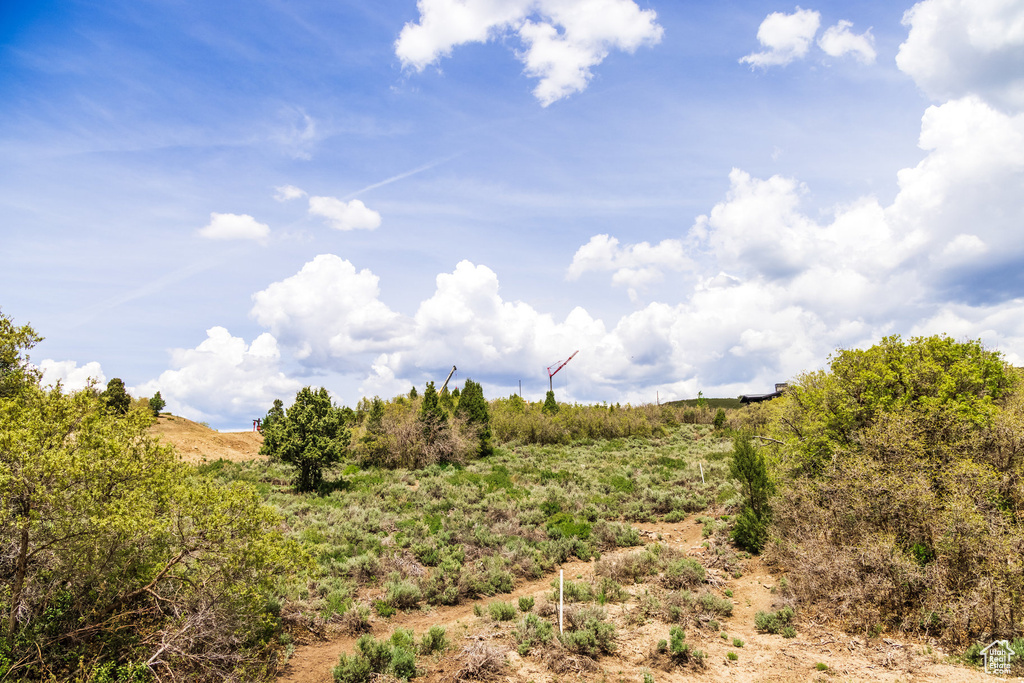 View of undeveloped land
