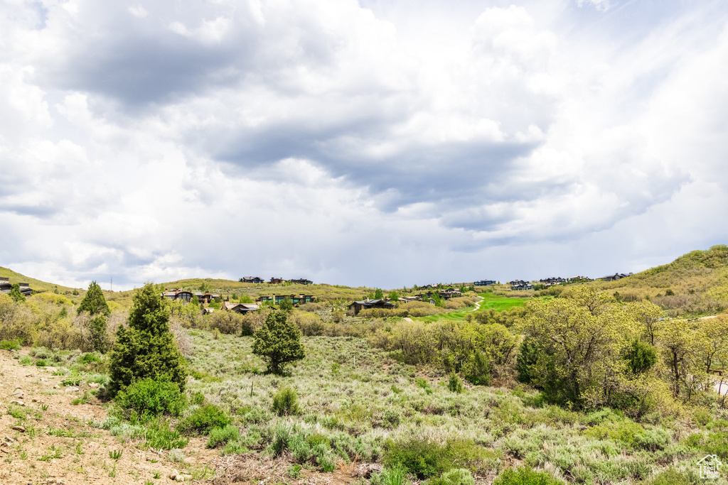 View of undeveloped land