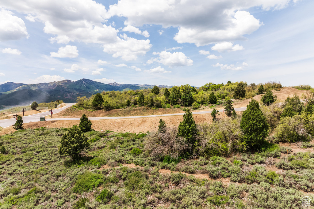View of mountain backdrop
