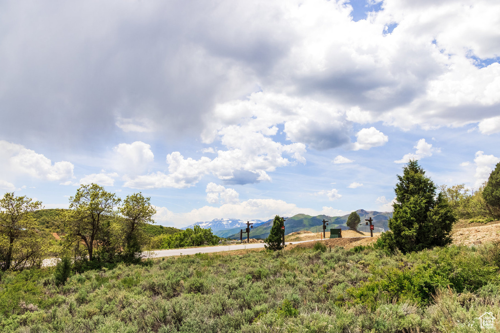 View of yard featuring a mountain view