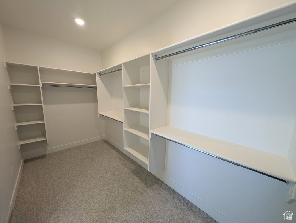 Walk in closet featuring carpet floors