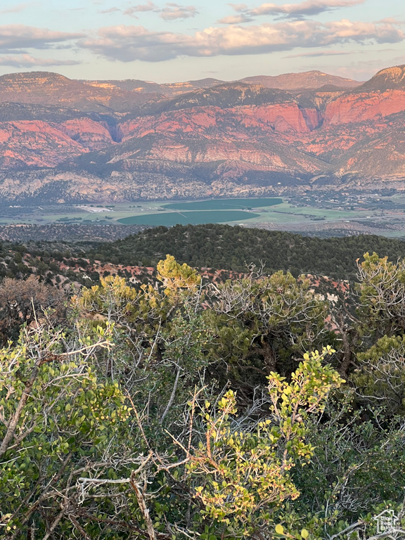 View of mountain background