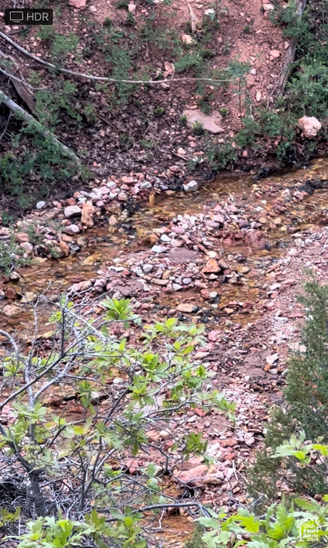 View of undeveloped land