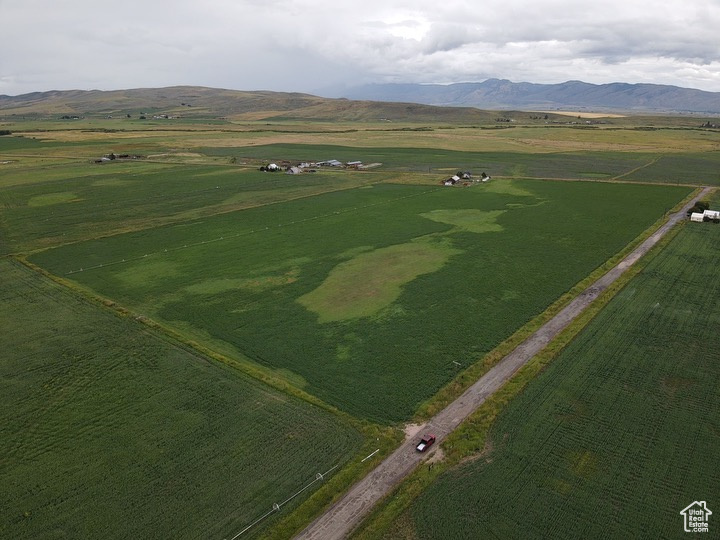 Drone / aerial view featuring a mountain view and a rural view