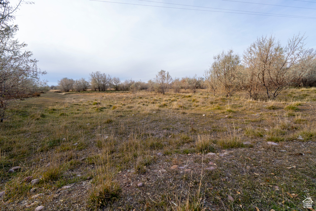 View of local wilderness with a rural view