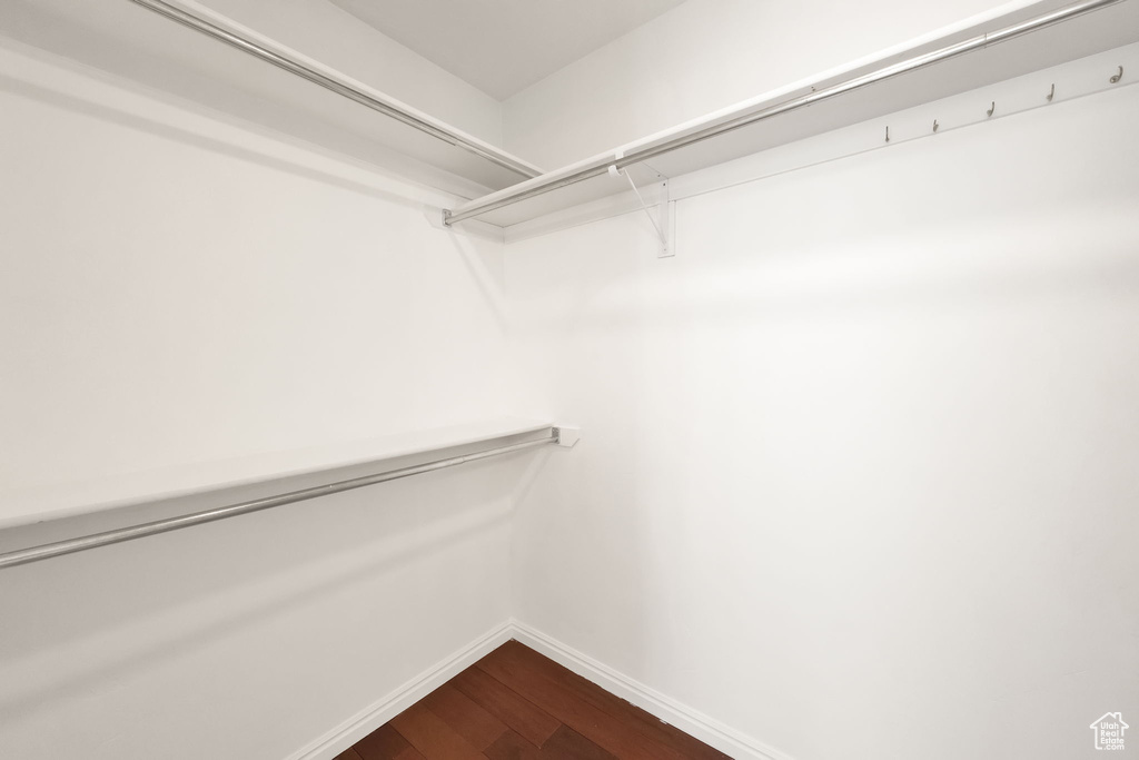 Spacious closet featuring hardwood / wood-style floors