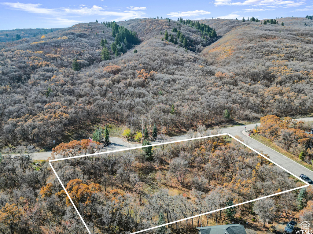 Aerial view with a mountain view