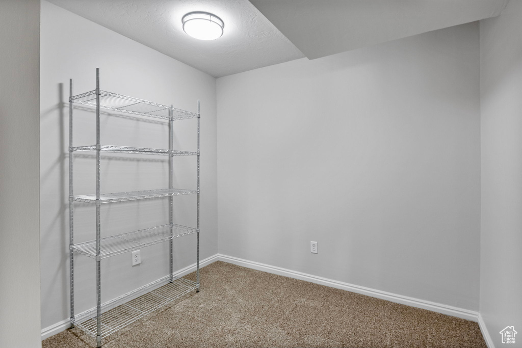 Spare room with carpet flooring and a textured ceiling