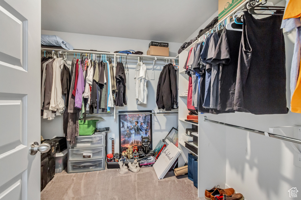 Spacious closet with carpet flooring