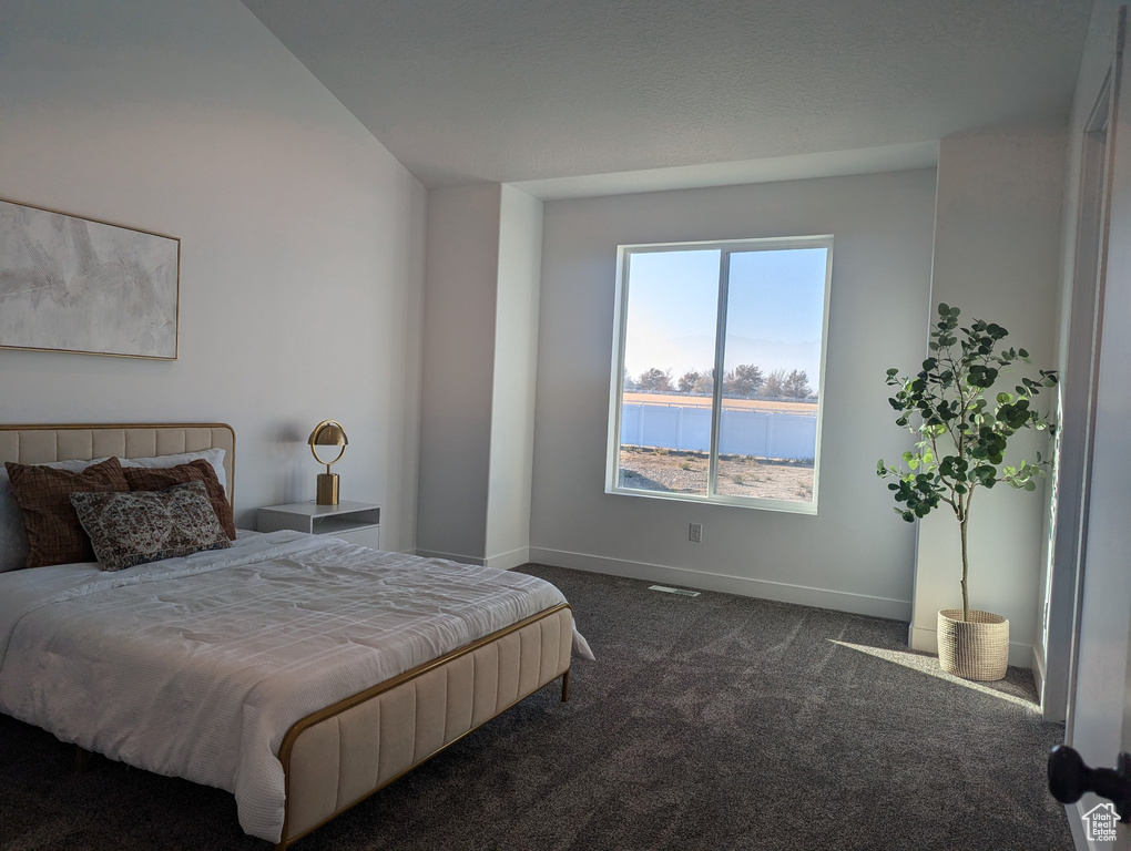 Bedroom with dark colored carpet