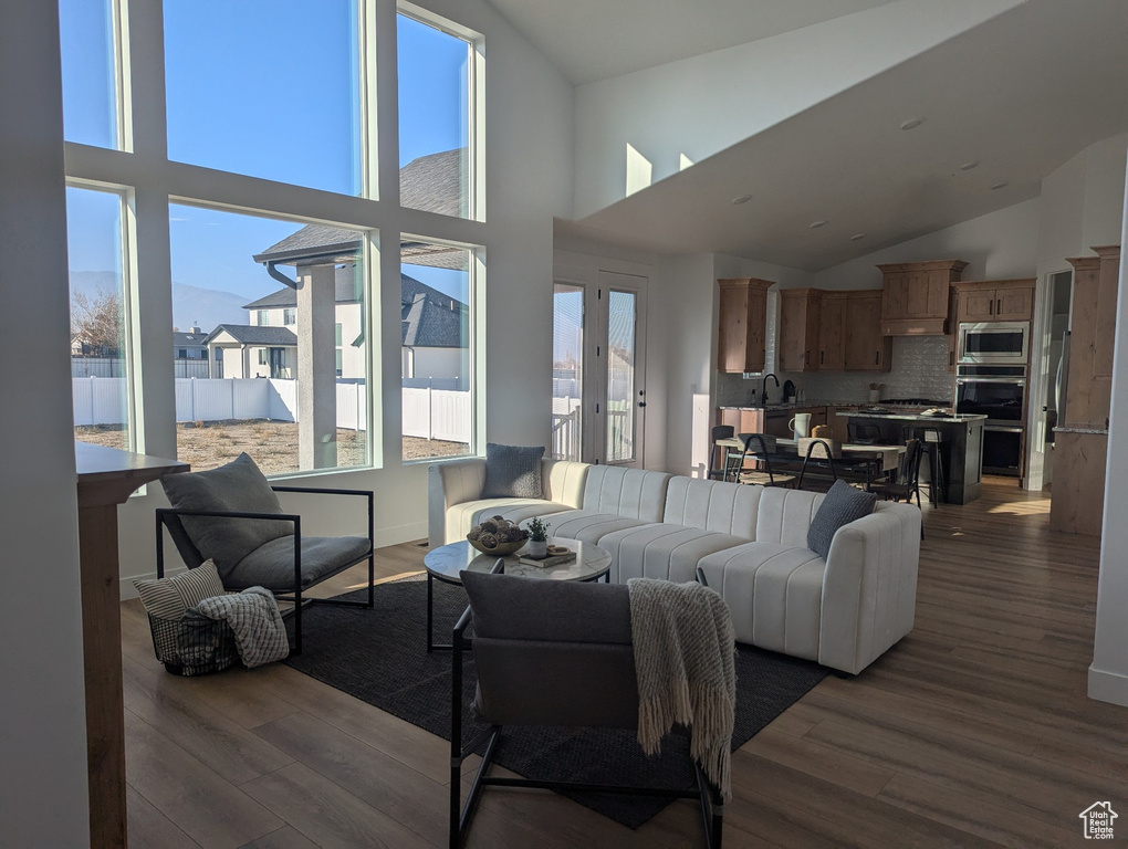 Living room with sink, high vaulted ceiling, and dark wood-type flooring