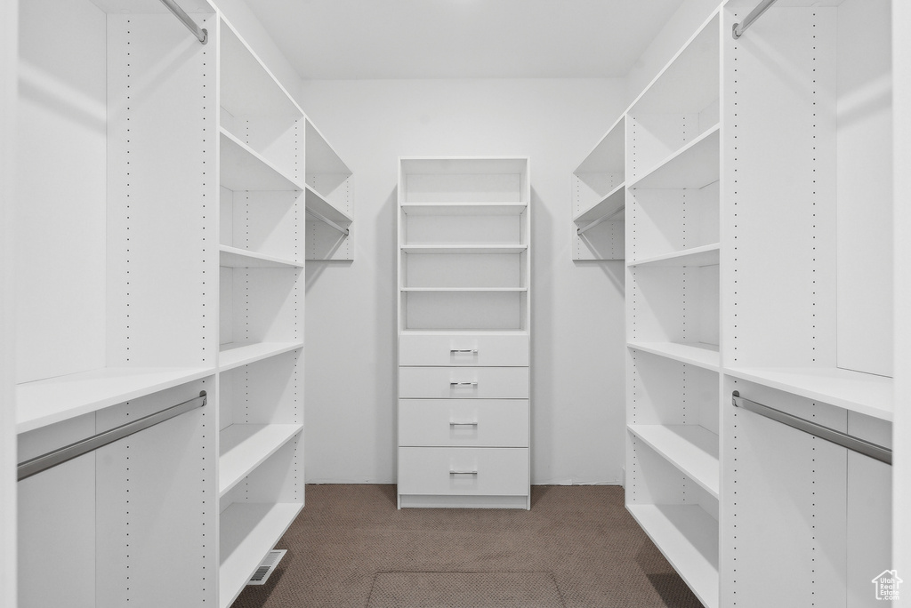 Spacious closet featuring carpet floors
