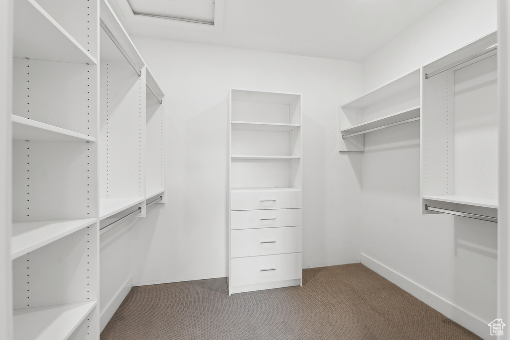 Spacious closet with dark carpet