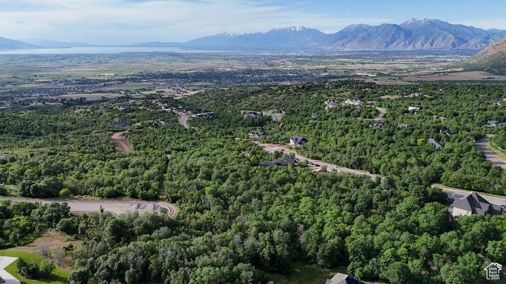 Bird's eye view featuring a forest view and a mountain view