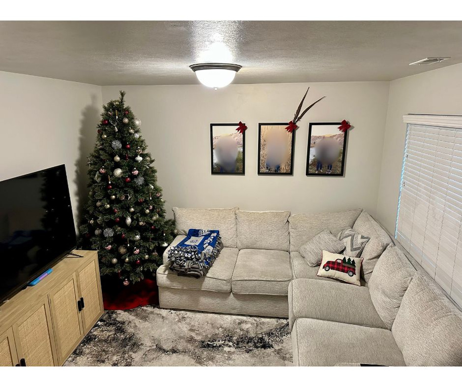 Living room with a textured ceiling