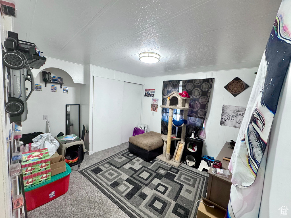 Game room featuring carpet and a textured ceiling