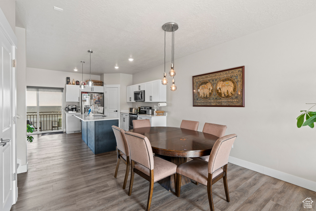 Dining room with sink, a textured ceiling, and hardwood / wood-style flooring