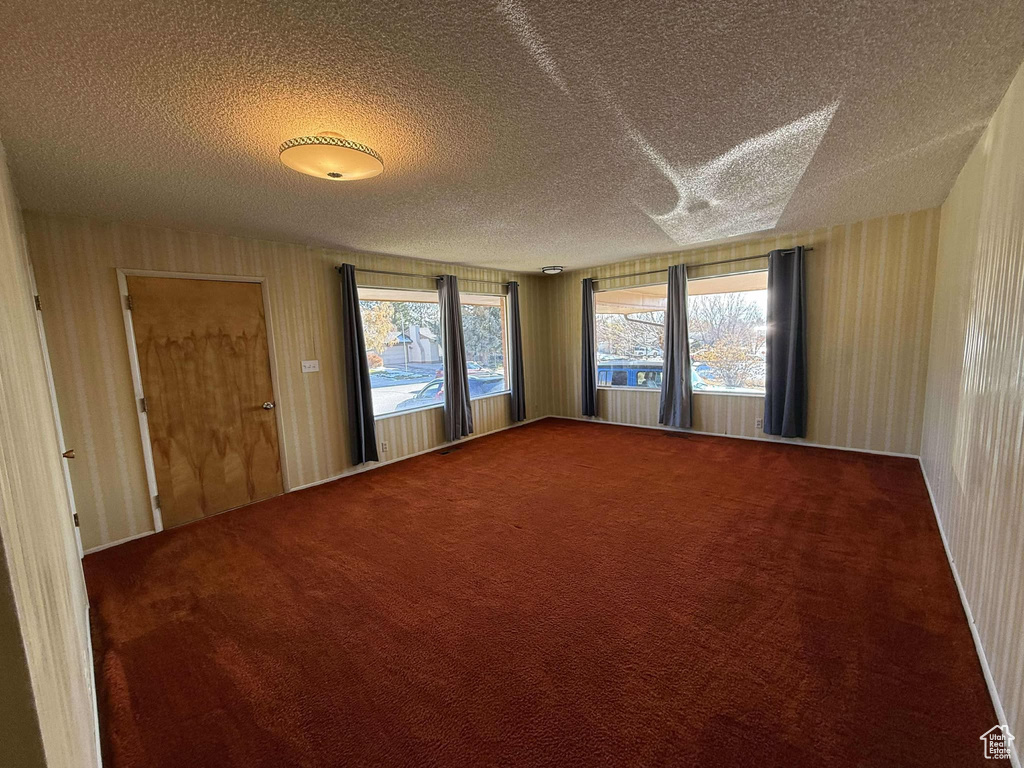 Spare room with carpet floors, a textured ceiling, and a wealth of natural light