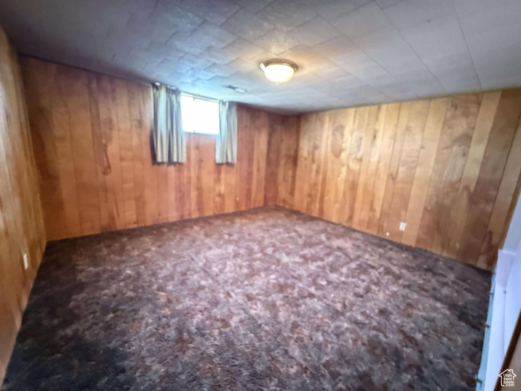 Basement with carpet and wooden walls