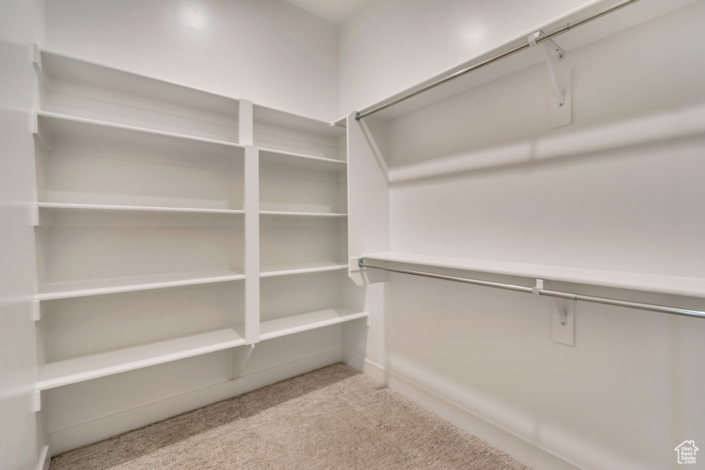 Spacious closet featuring carpet floors