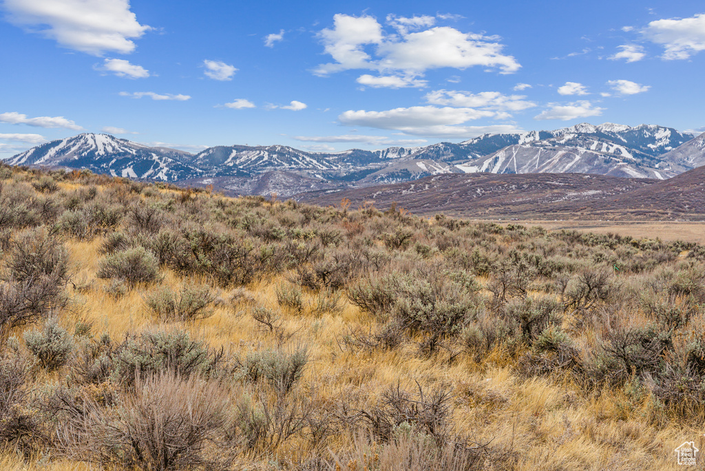 6745 WHITE DOVE WAY Park City, UT 84098
