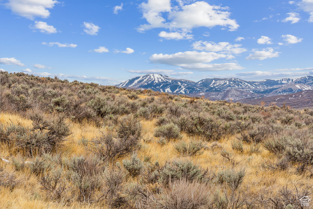 6745 WHITE DOVE WAY Park City, UT 84098