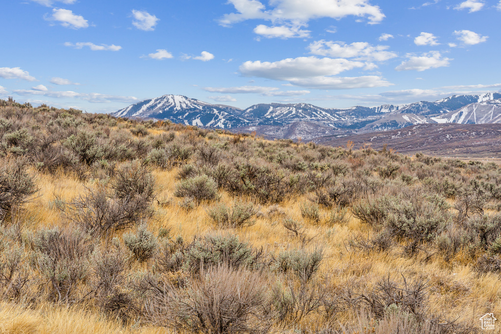 6745 WHITE DOVE WAY Park City, UT 84098